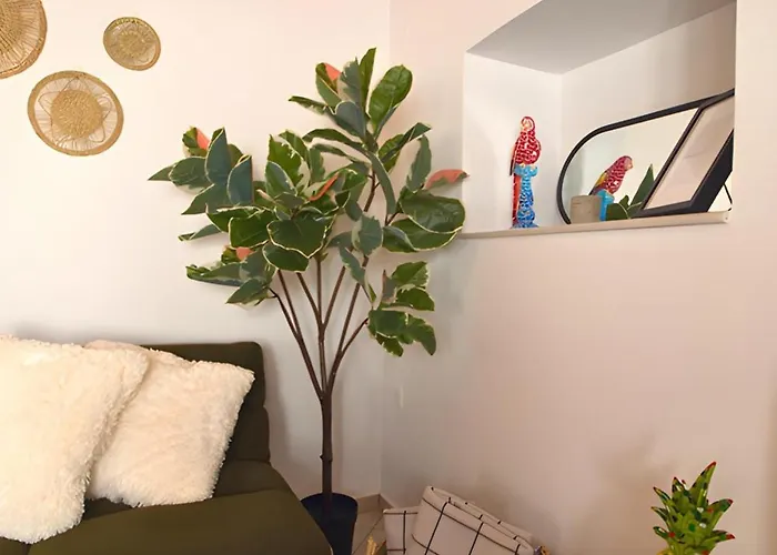 Vakantiehuis Nook *
